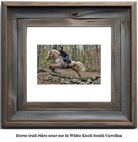 horse trail rides near me in White Knoll, South Carolina